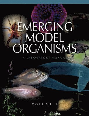 bokomslag Emerging Model Organisms