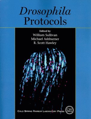 Drosophila Protocols 1