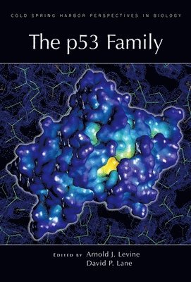 Arnold J Levine, David P Lane - P53 Family, Inbunden