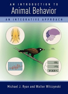 Michael Ryan, Walter Wilczynski - Introduction to Animal Behavior: An Integrative Approach, Häftad