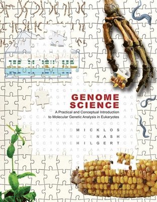 bokomslag Genome Science : A Practical and Conceptual Introduction to Molecular Genetic Analysis in Eukaryotes