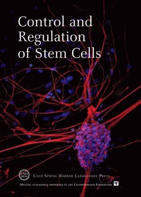 Control and Regulation of Stem Cells 1