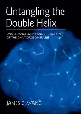 James C. Wang - Untangling the Double Helix, Inbunden