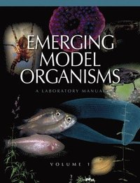 bokomslag Emerging Model Organisms
