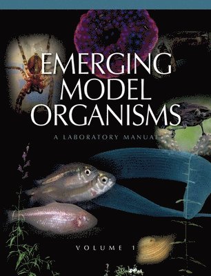 bokomslag Emerging Model Organisms
