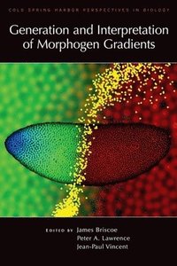 bokomslag Generation and Interpretation of Morphogen Gradients