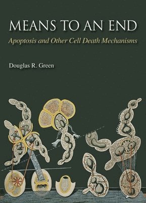 bokomslag Means to an End: Apoptosis and Other Cell Death Mechanisms