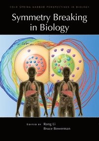 bokomslag Symmetry Breaking in Biology