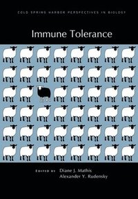 bokomslag Immune Tolerance