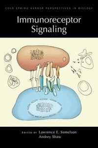 bokomslag Immunoreceptor Signaling