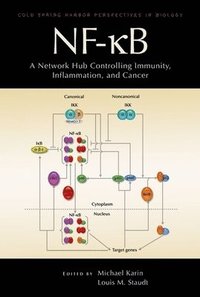 bokomslag Nf-Kb, a Network Hub Controlling Immunity, Inflammation, and Cancer
