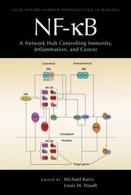 bokomslag NF-kB