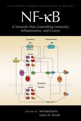bokomslag Nf-Kb, a Network Hub Controlling Immunity, Inflammation, and Cancer