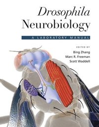 bokomslag Drosophila Neurobiology