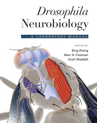 Drosophila Neurobiology 1