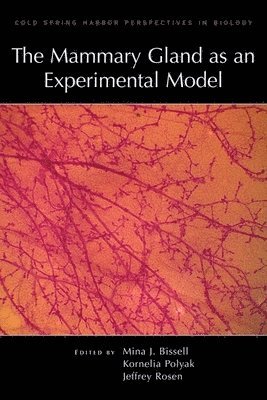 bokomslag Mammary Gland as an Experimental Model