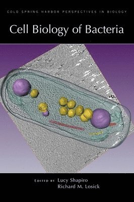 bokomslag Cell Biology of Bacteria