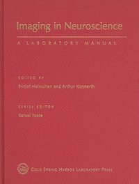 bokomslag Imaging in Neuroscience