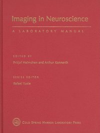 bokomslag Imaging in Neuroscience: A Laboratory Manual