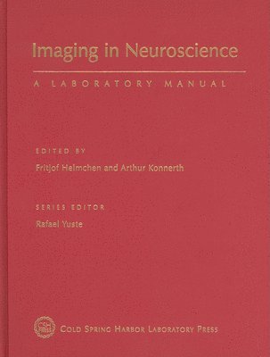 bokomslag Imaging in Neuroscience