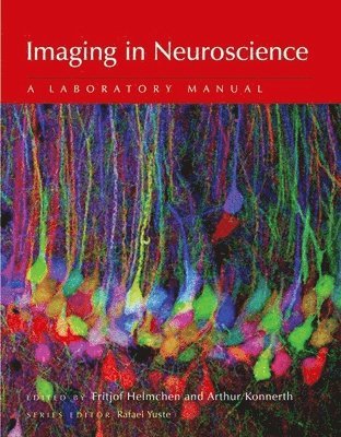 Fritjof Helmchen, Arthur Konnerth, Rafael Yuste, Fritjof Helmchen, Arthur Konnerth, Rafael Yuste, Fritjof (Brain Research Institute University of Zurich Switzerland) Helmchen, Arthur (Institute for Neurosciences Technical University Munich Germany) Konnerth, Rafael (Howard Hughes Medical Institute Columbia University) Yuste - Imaging in Neuroscience, Häftad