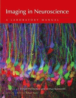 Imaging in Neuroscience 1