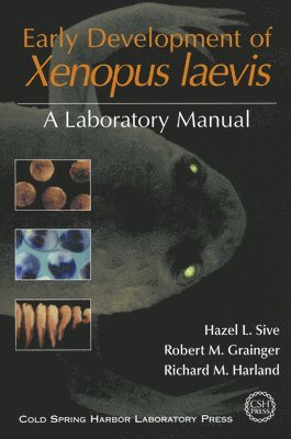 Hazel L Sive, Robert M Grainger, Richard M Harland, Hazel L. Sive, Robert M. Grainger - Early Development of Xenopus Laevis, Häftad