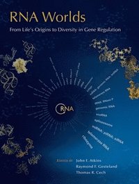 bokomslag RNA Worlds