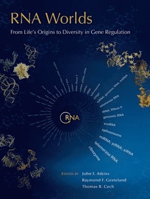 bokomslag RNA Worlds: From Life's Origins to Diversity in Gene Regulation