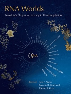 RNA Worlds 1
