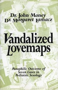 bokomslag Vandalized Lovemaps