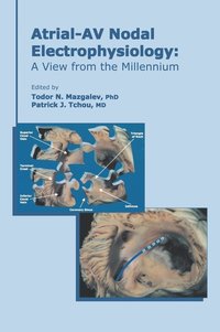 bokomslag Atrial-AV Nodal Electrophysiology