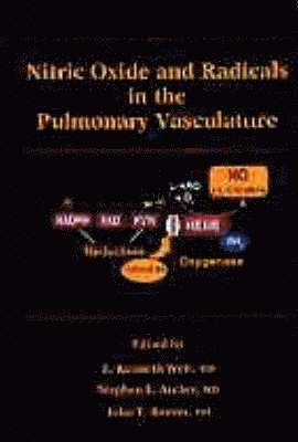 bokomslag Nitric Oxide and Radicals in the Pulmonary Vasculature