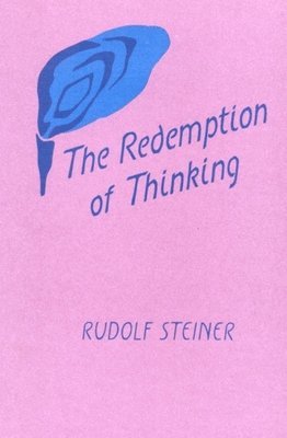 bokomslag The Redemption of Thinking