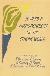 bokomslag Toward a Phenomenology of the Etheric World