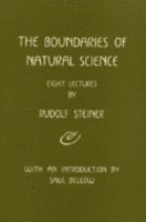 bokomslag The Boundaries of Natural Science