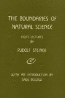 Rudolf Steiner - Boundaries of Natural Science, Häftad