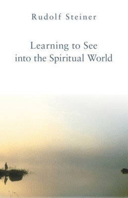 bokomslag Learning to See into the Spiritual World