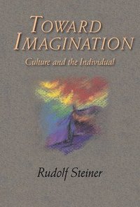 bokomslag Towards Imagination