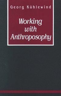 bokomslag Working with Anthroposophy