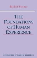 bokomslag The Foundations of Human Experience