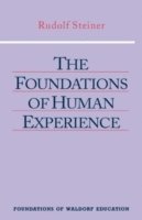Rudolf Steiner - Foundations of Human Experience, Häftad