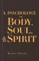 bokomslag A Psychology of Body, Soul and Spirit