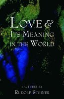 Love and Its Meaning in the World 1