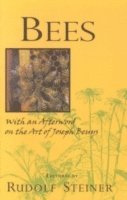 Bees 1