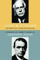 bokomslag Jung and Steiner