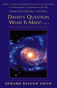 bokomslag David's Question 'What is Man?'