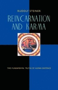 bokomslag Reincarnation and Karma