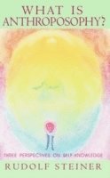 Rudolf Steiner, Christopher Bamford - What is Anthroposophy?, Häftad