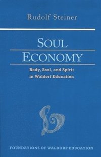 bokomslag Soul Economy